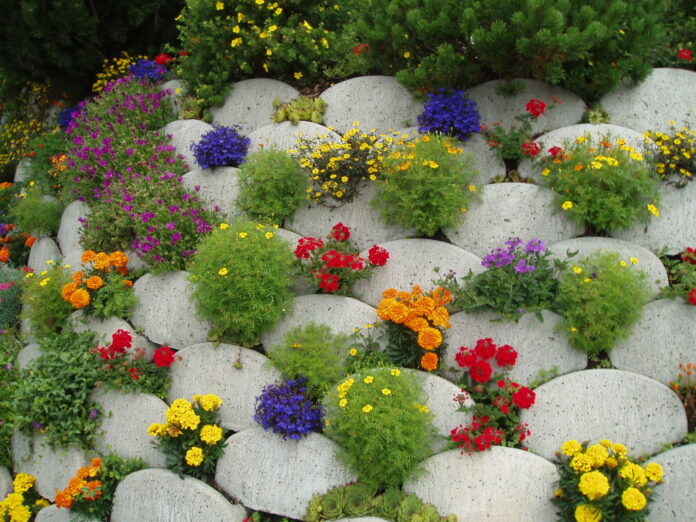 Украсьте свой сад яркими и необычными цветами и растениями