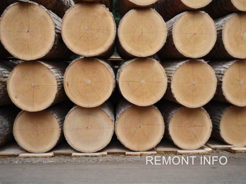 1. Регулярная обработка защитными средствами