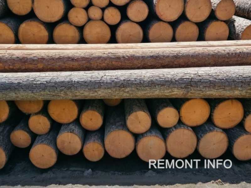 Цвет древесины: как выбрать подходящий оттенок