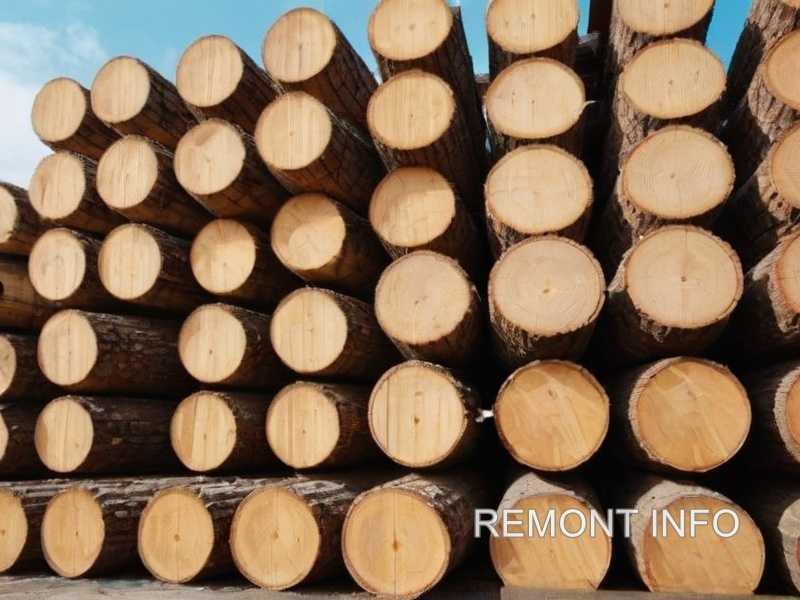 Погодные условия и выбор древесины