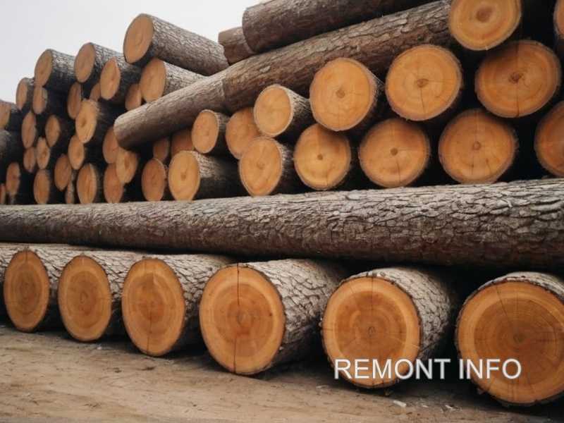 Выбор древесины для создания элементов рабочего пространства