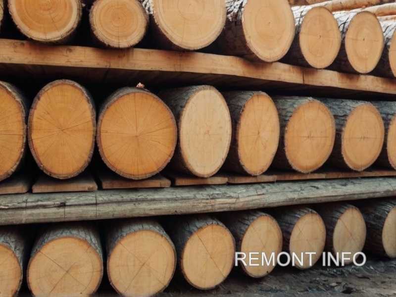 Уход за деревянными панелями: что нужно знать