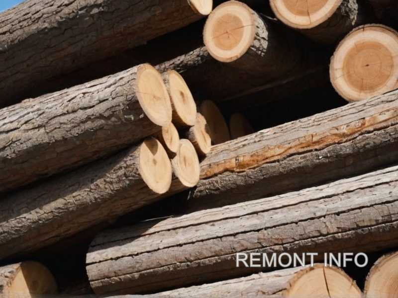 Какие покрытия и пропитки сохраняют природные свойства дерева