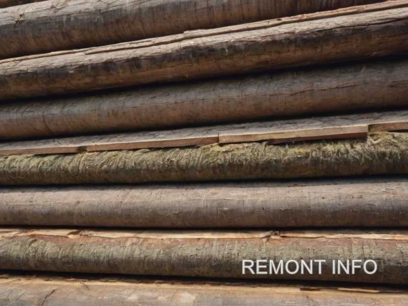 Устойчивые к гниению породы